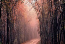 76人三巨头本赛季薪资1.35亿合计仅出场112场比赛&场均120万.