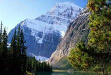 76人三巨头本赛季薪资1.35亿合计仅出场112场比赛&场均120万.